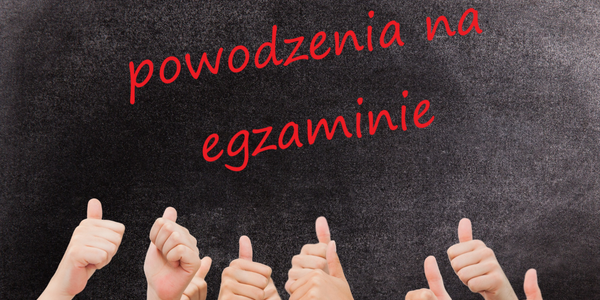 Bez nazwy.png