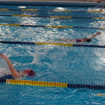 P1320468.JPG
