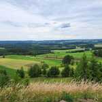 IMG-20240617-WA0001.jpg