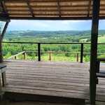 IMG-20240617-WA0004.jpg