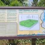 IMG-20240617-WA0021.jpg