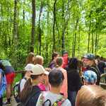 IMG-20240617-WA0028.jpg