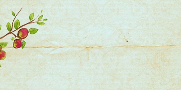 banner.jpg